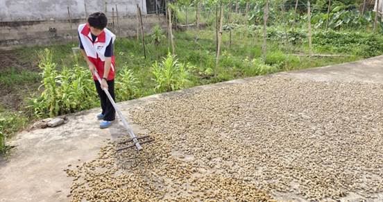 QQ图片20250713211252(28)