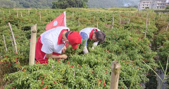 QQ图片20250714151514(38)