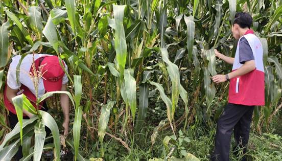 QQ图片20250713211252(27)