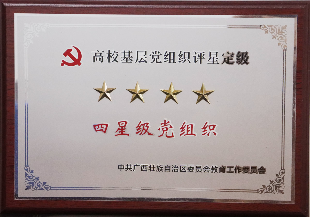4星级党组织